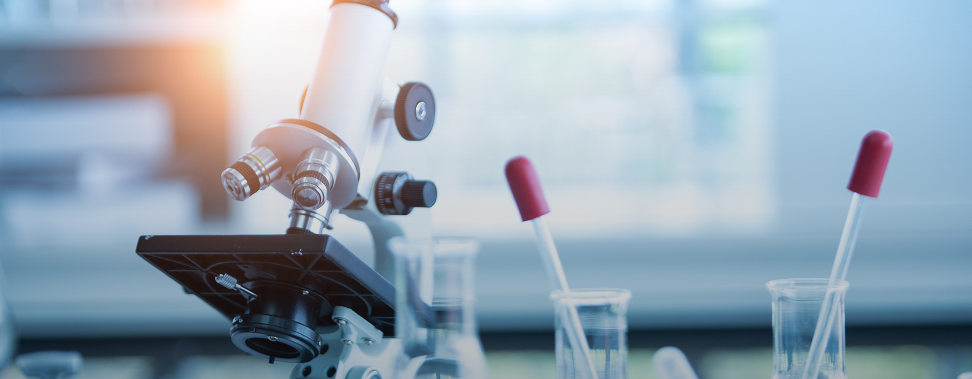 绮惧噯棰勯槻&nbsp;&nbsp;&nbsp;涓哄仴搴峰仛澶囦唤